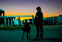 Canine handler with dog