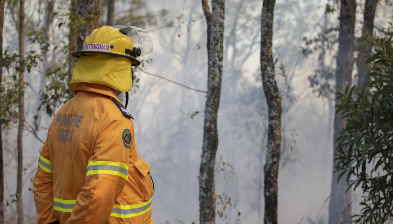 Bushfire mitigation Rural Fire Service firefighter