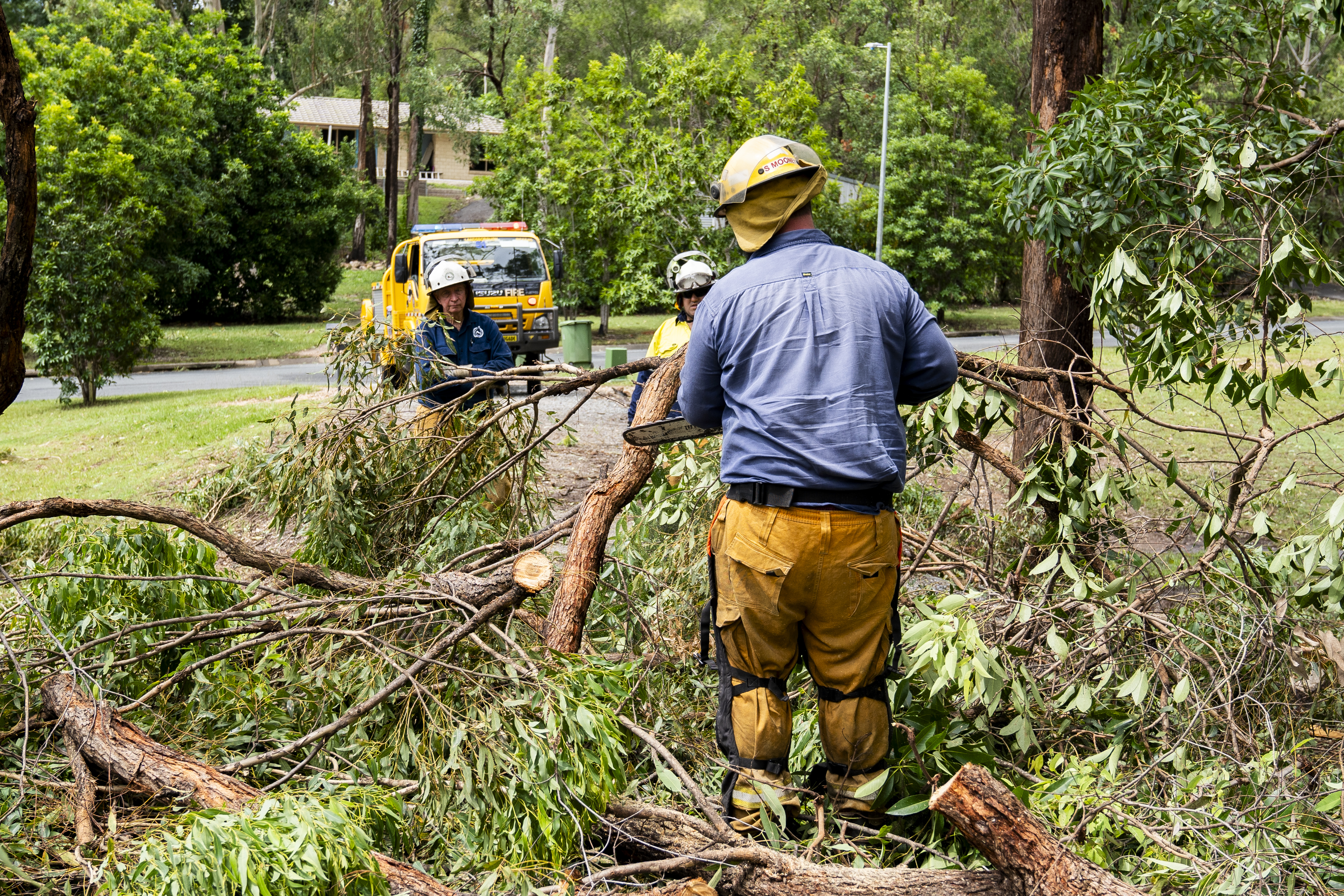 A man with his back to the camera is surrounded by broken tree branches.