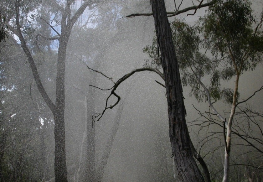 Bushfire foam falling through the canopy after being dropped from an aircraft