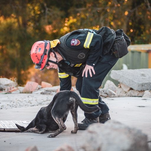 Canine handler and dog at work