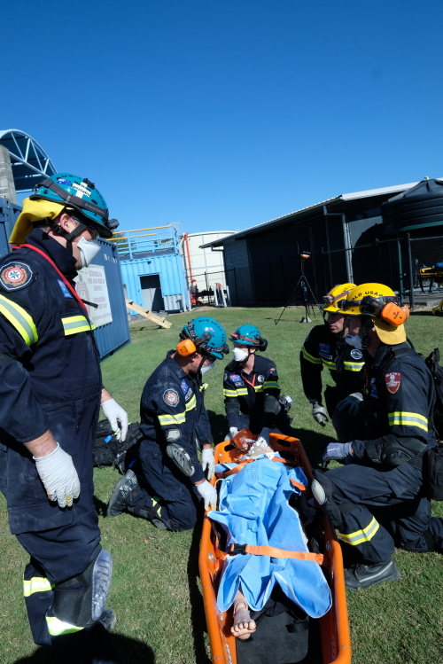 DART volunteers - doctors at work