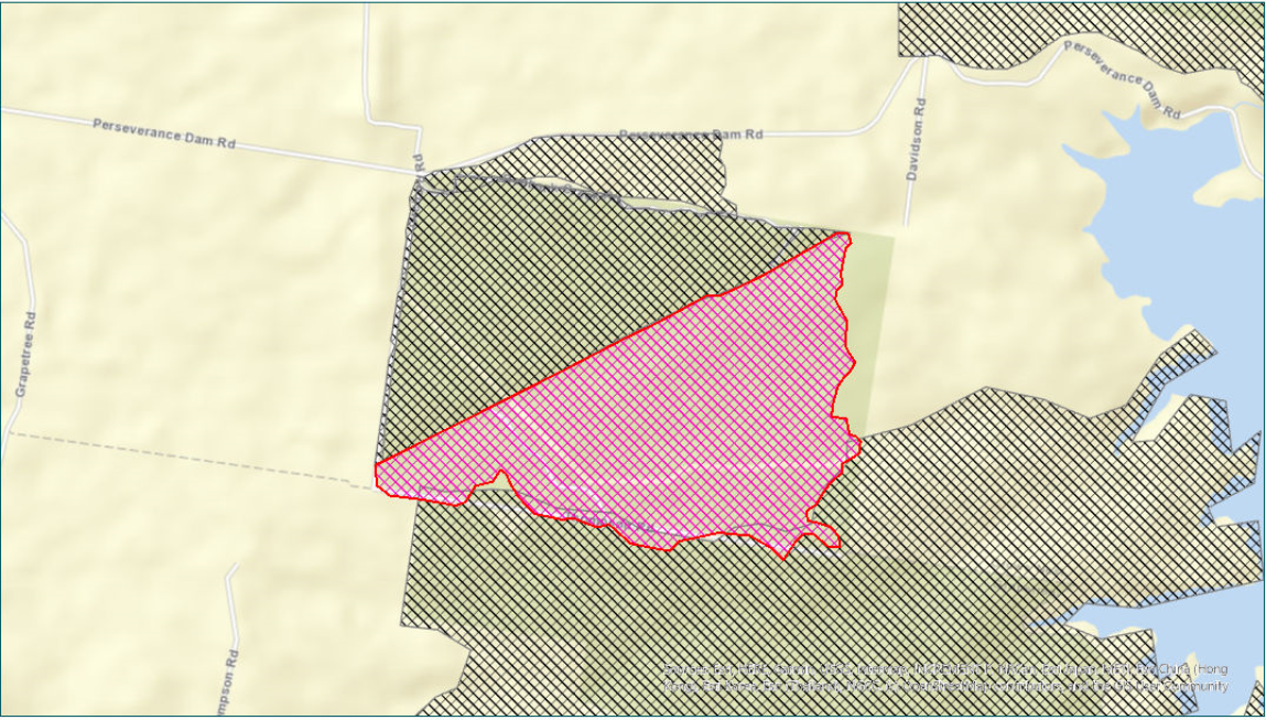 Crows Nest National Park Planned Burn
